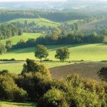 The Surrey Hills Power of Place Showcase