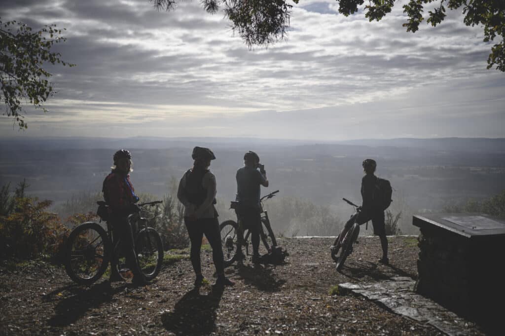 Off Root Mountain Biking in Surrey