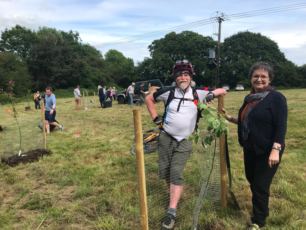 Community orchard project