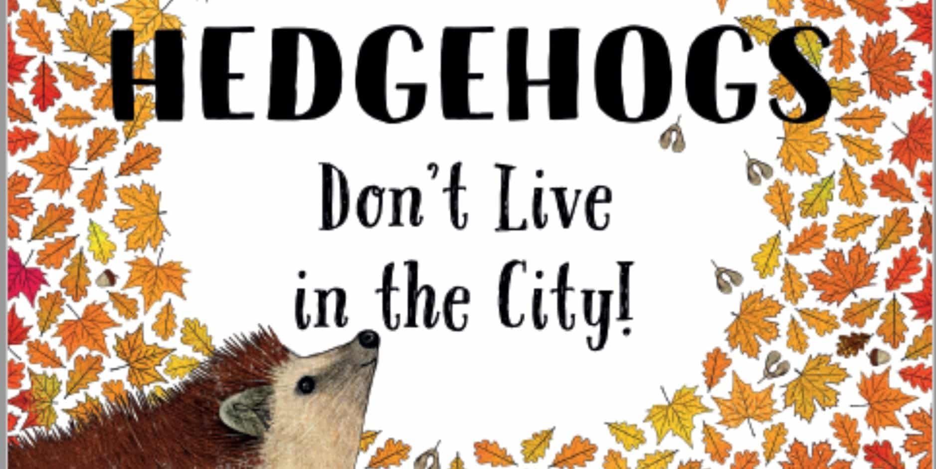 Hedgehogs dont live in the city illustration
