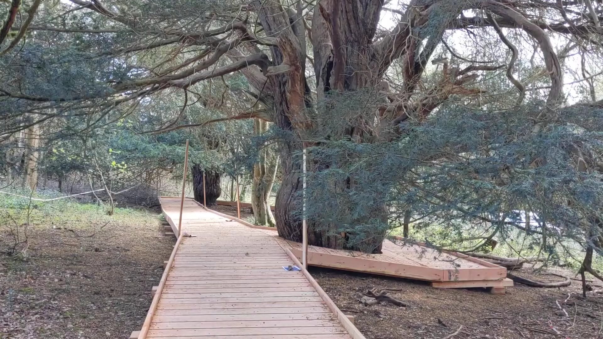 Boardwalk