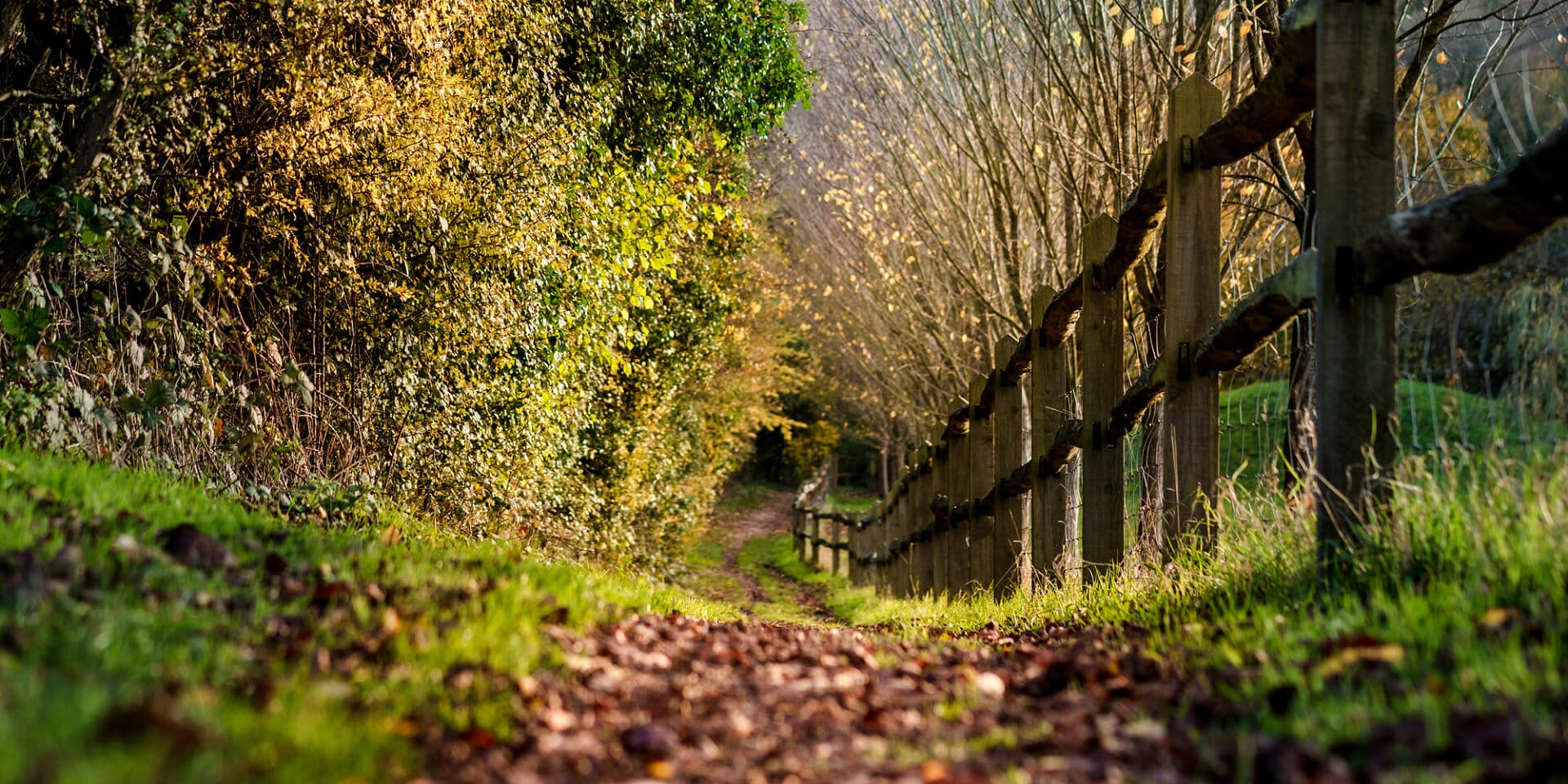 Guildford Walkfest hike–7mile Farley Heath to Peaslake Village circular (Free)
