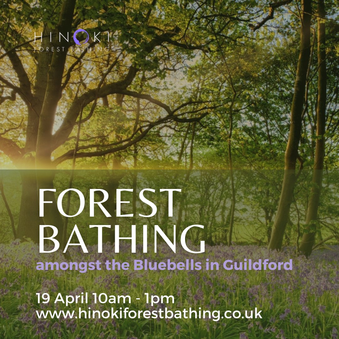 Forest Bathing with Bluebells