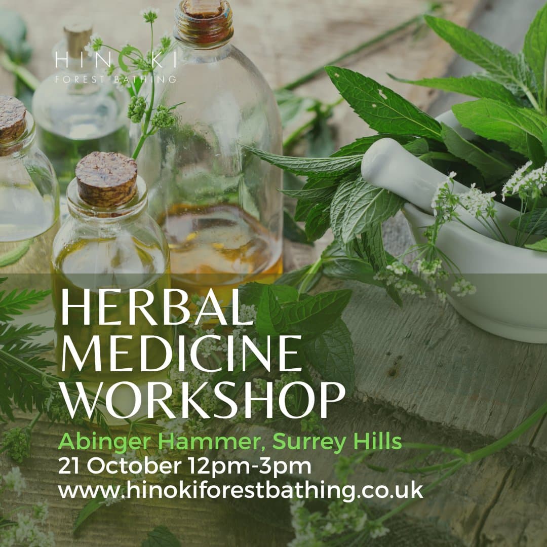 Herbal Medicine Workshop