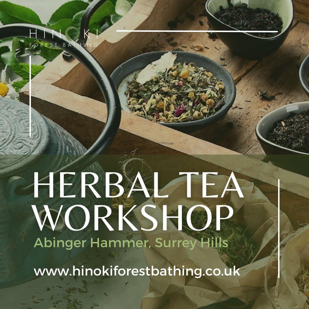 Herbal Tea Workshop