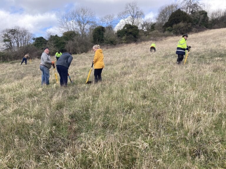 Surrey Hills Enterprises Conservation Volunteering Day