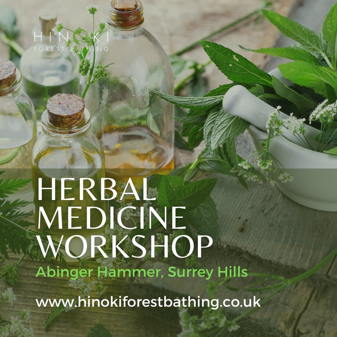 Herbal Medicine Workshop