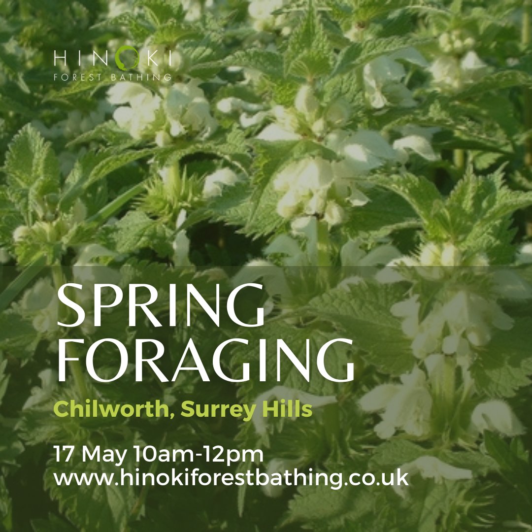 Spring Foraging Walk