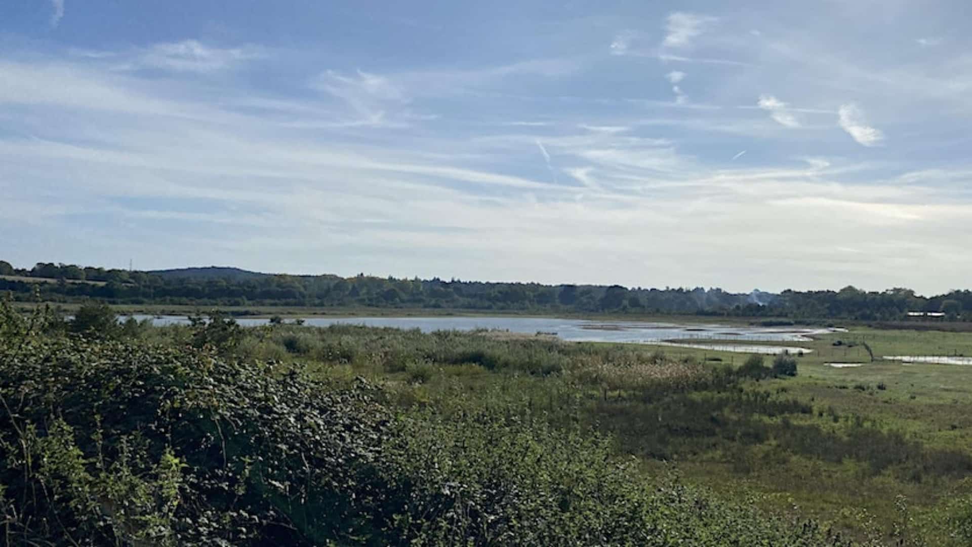 Conservation Day at Tice's Meadow