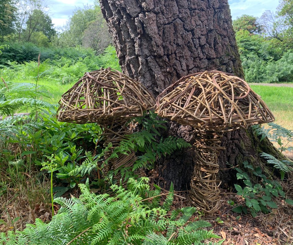 Willow Sculpture Workshop (Tortoise/Hedgehog/Mushroom)