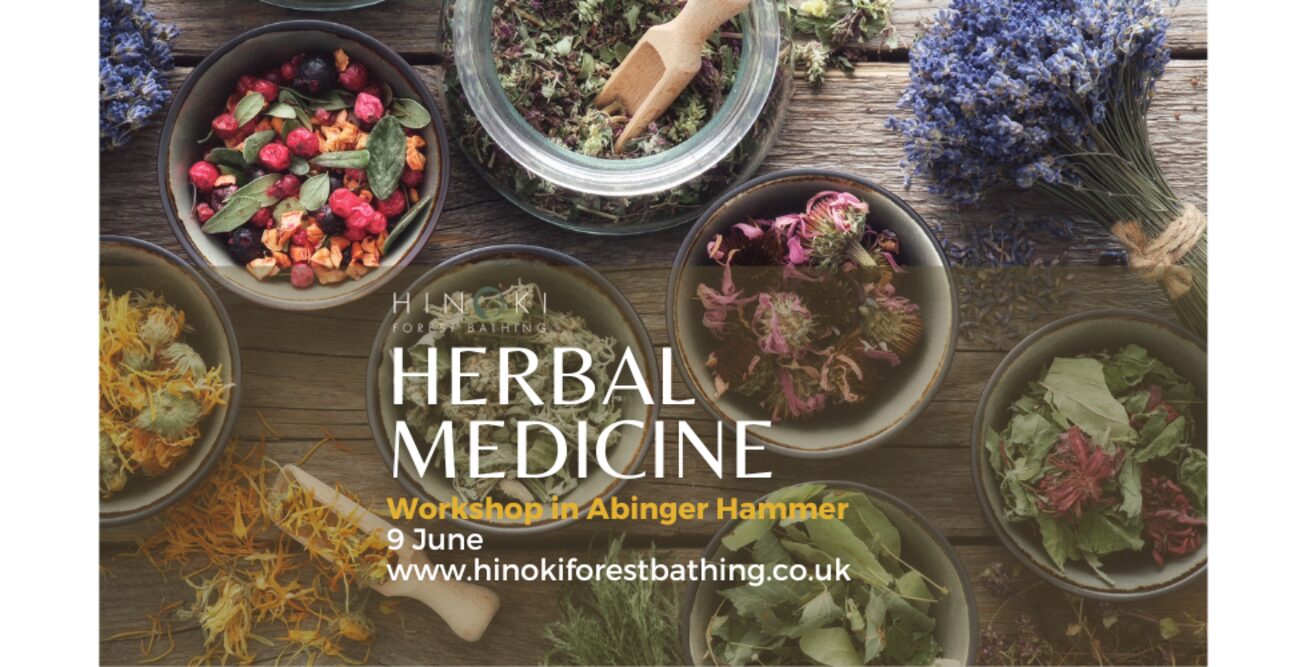 Herbal Medicine Workshop
