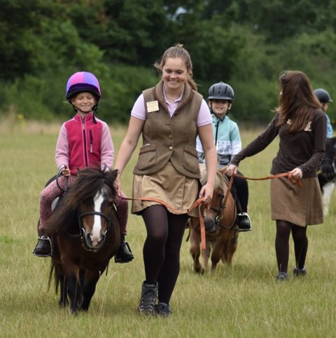 Shetland Pony Summer Pony Camp Days