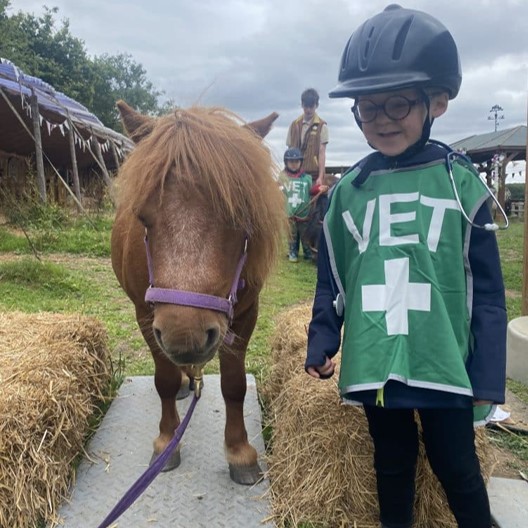 Shetland Pony Summer Pony Camp Days
