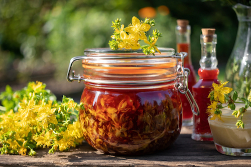 Summer Foraging Walk