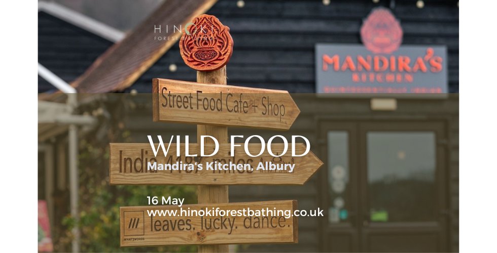Wild Food Foraging & Cooking