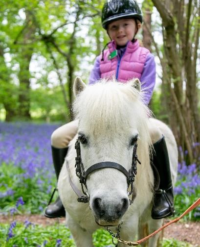 Own a Pony Experience at Shetland Pony Club