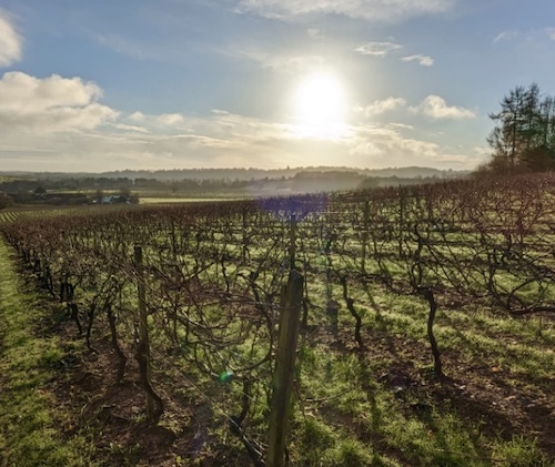 New Hike: 12km – Mole Gap Linear Walk – Leatherhead to Dorking