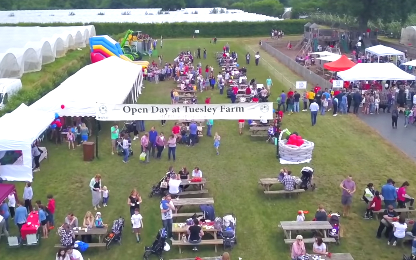 Open Farm Sunday at Tuesley Farm!