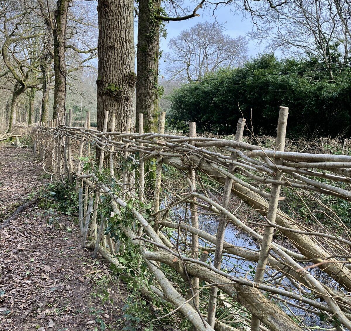 fipl rickhurst rews hedge