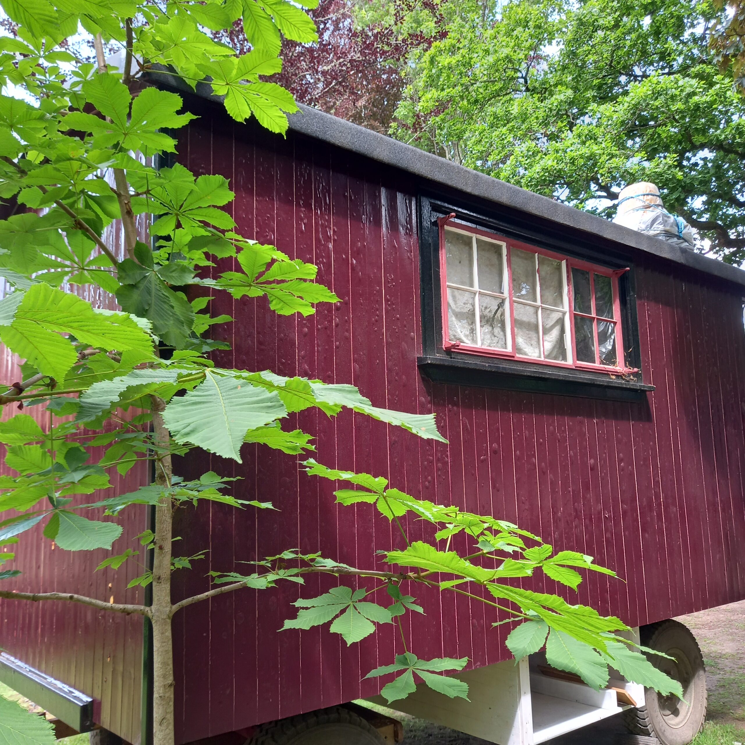 Caravan in the trees at museum
