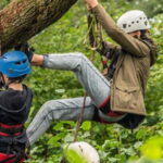 Tree climbing at Surrey Hills Country Fair 2025