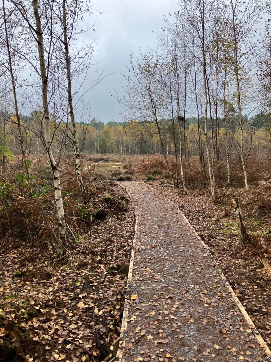 Accessible track RSPB Farnham Heath fipl