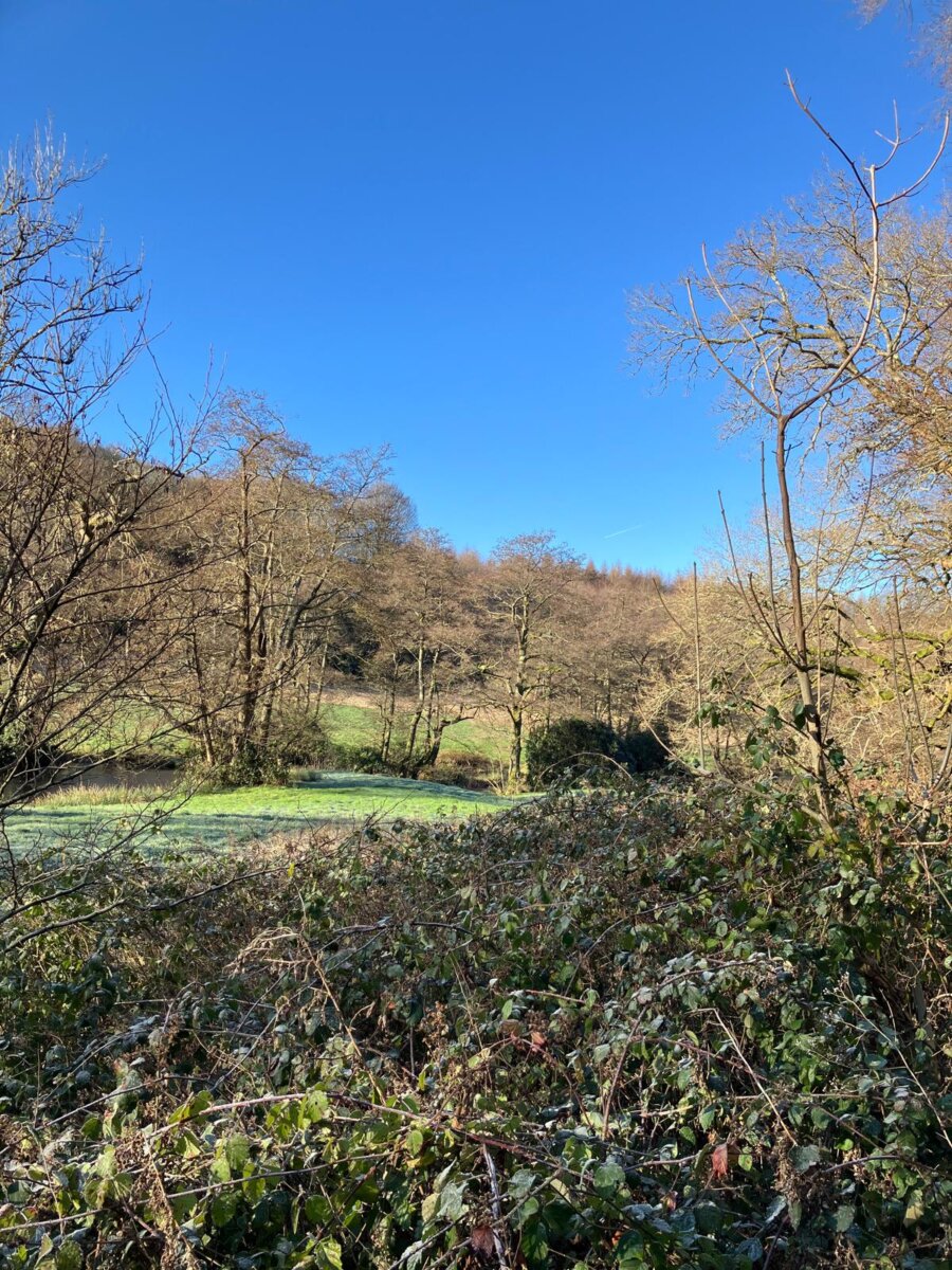Wotton rights of way fipl