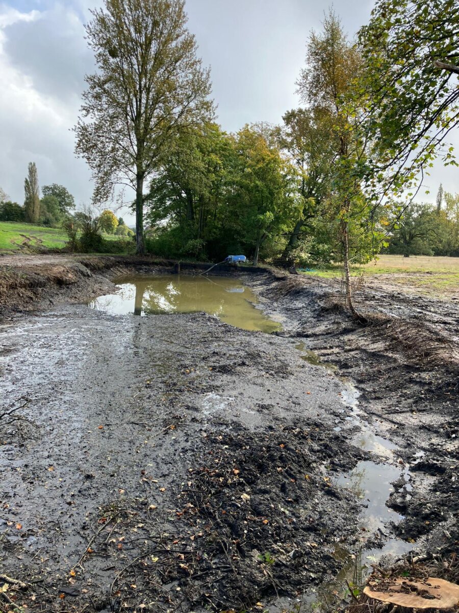 Pond Restoration in progress Loseley Park Estate