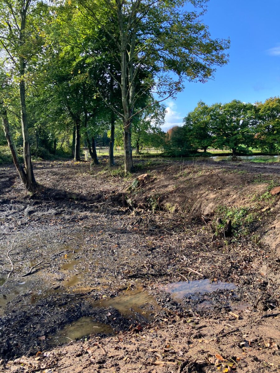 Pond Restoration in progress Loseley Park Estate
