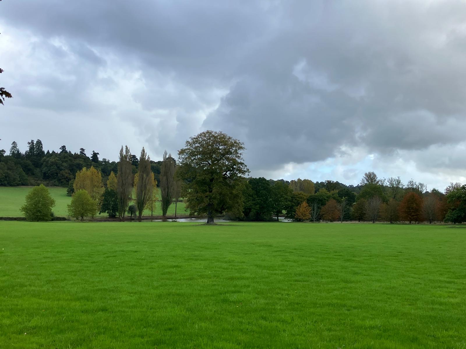 Pond Restoration Loseley Park Estate