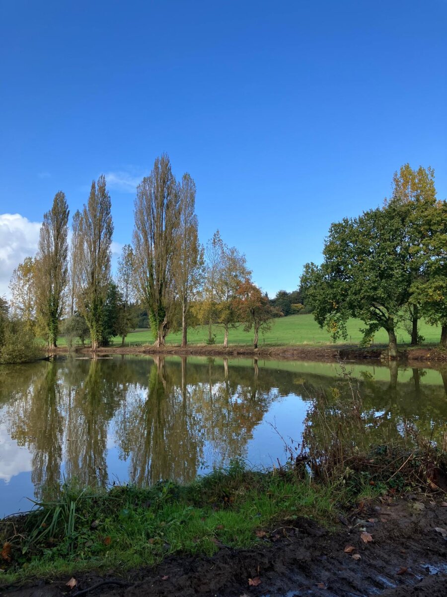 Pond Restoration finished Loseley Park Estate