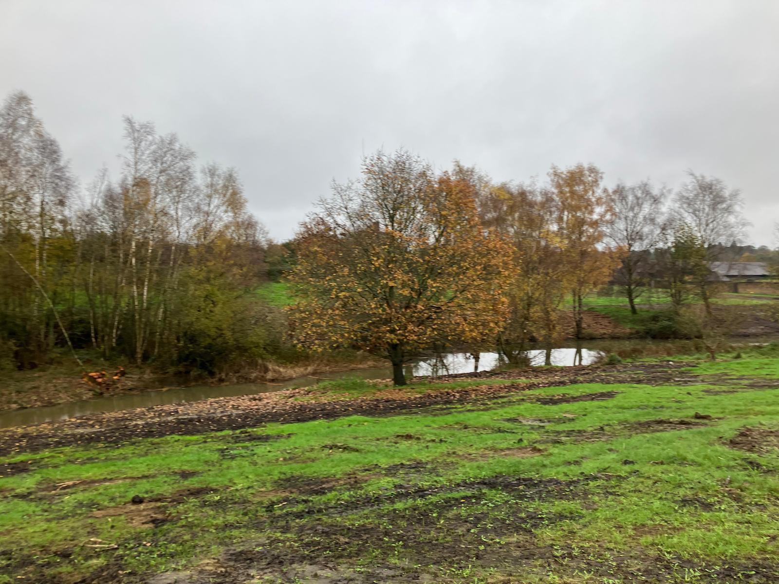 Pond Restoration Lydling Farm after