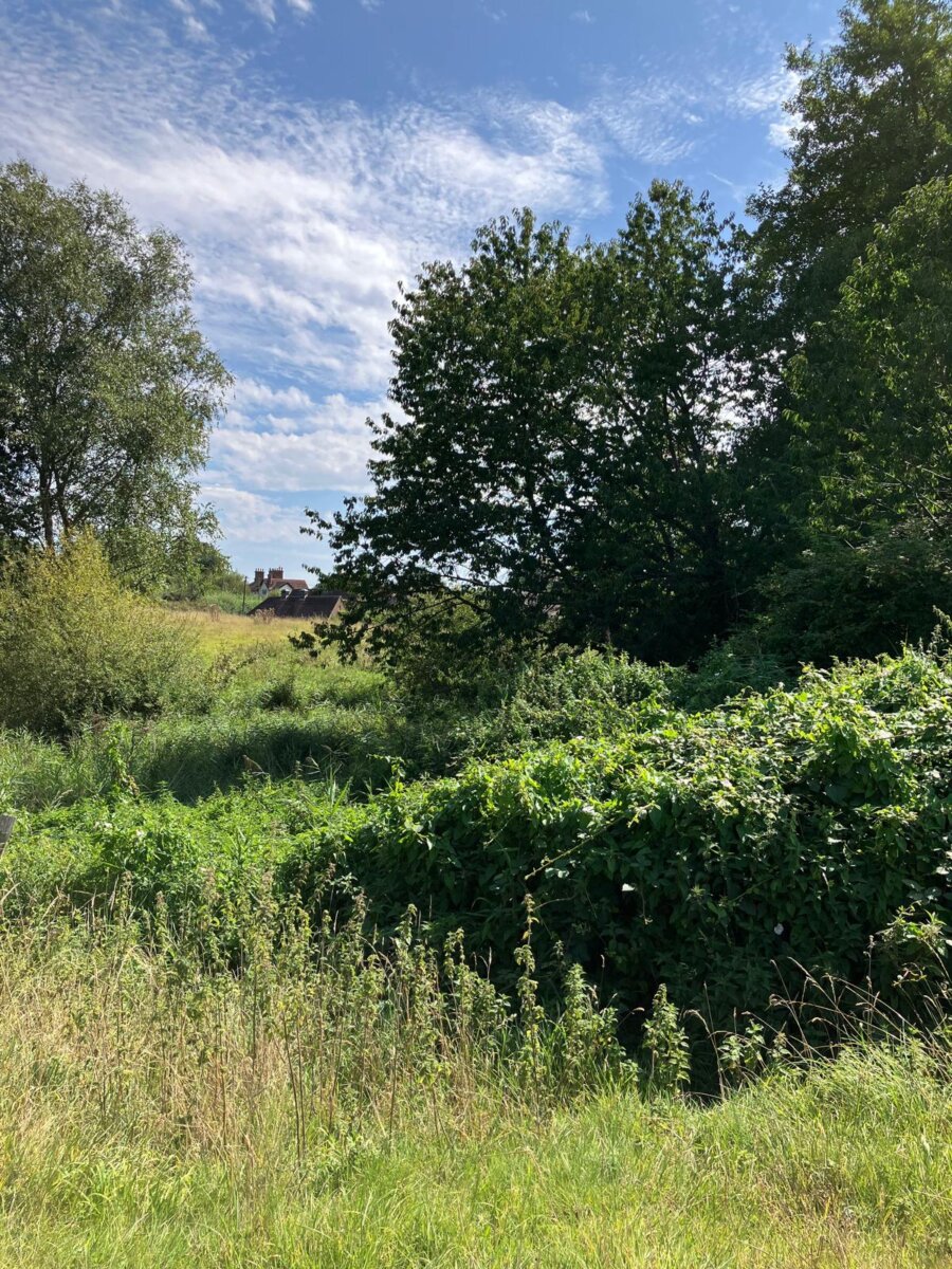 Pond Restoration Lydling Farm before