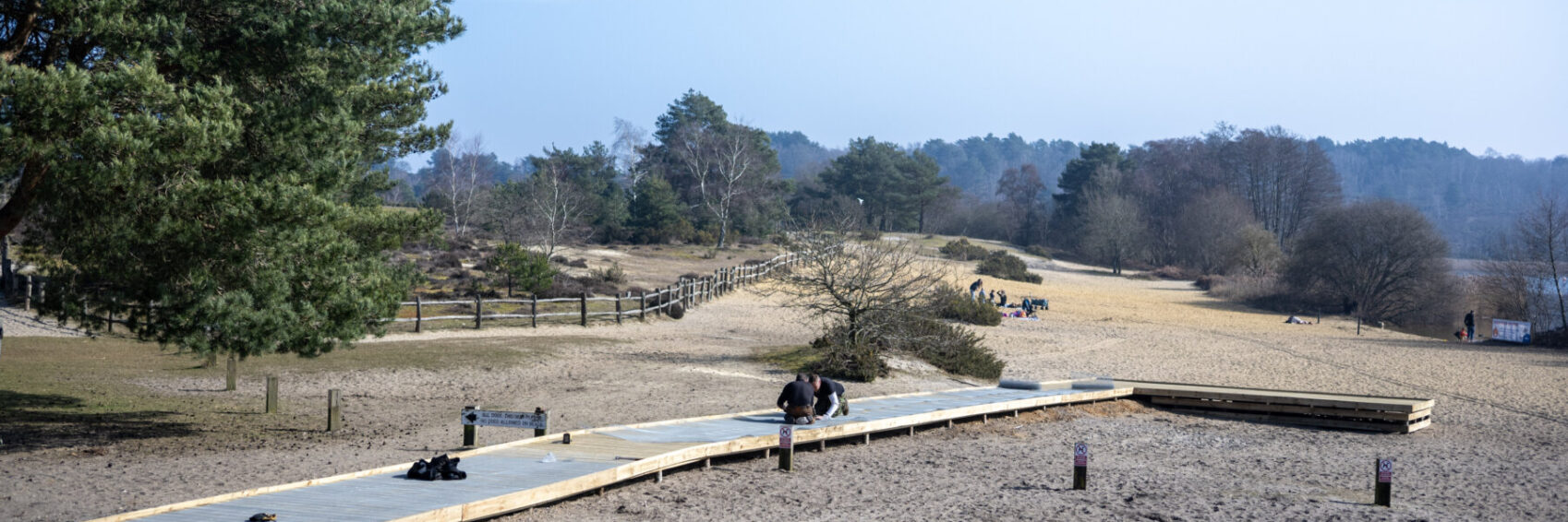 Frensham boardwalk