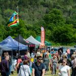 Surrey Hills Country Fair 2025