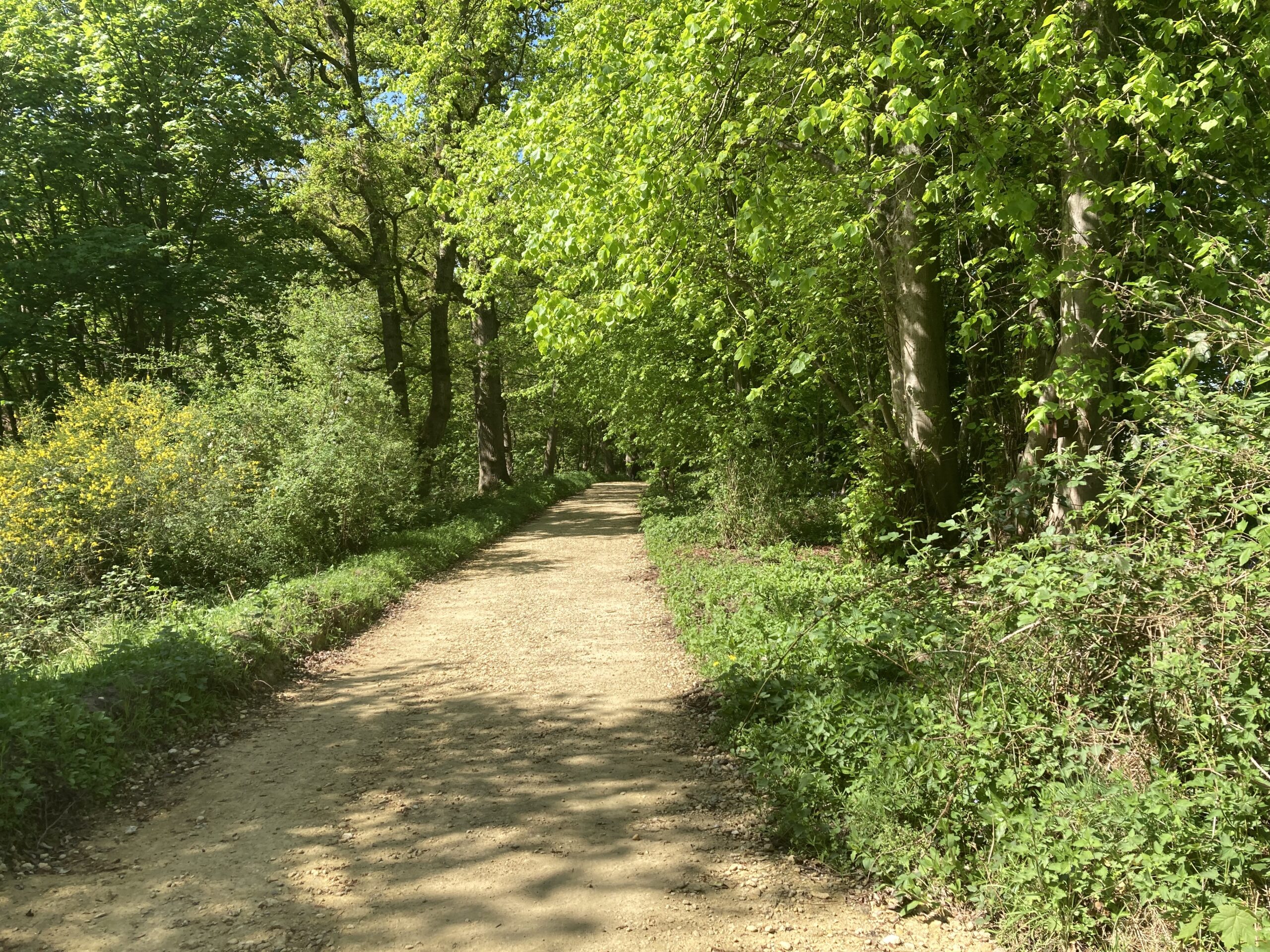 Pierrepont easier access