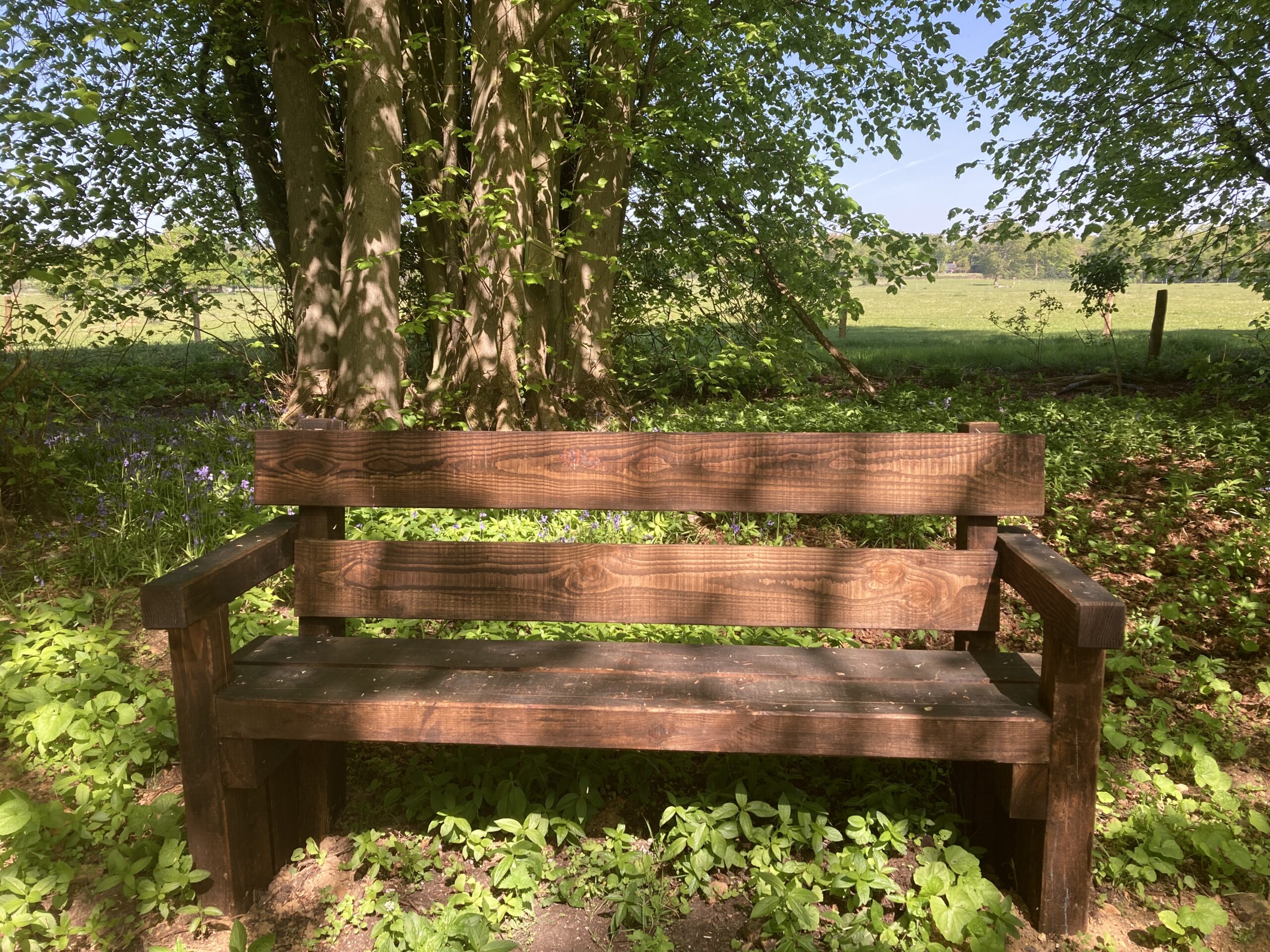 Pierrepont easier access