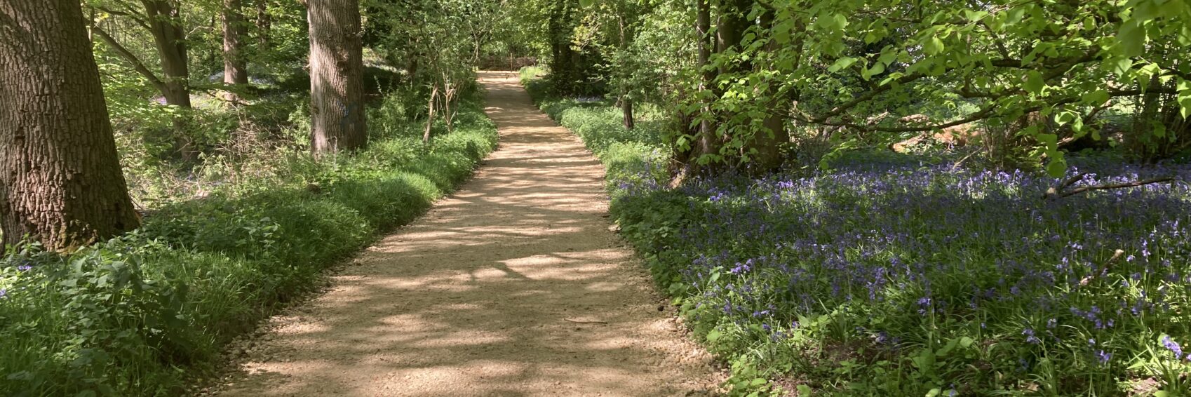 Pierrepont easier access