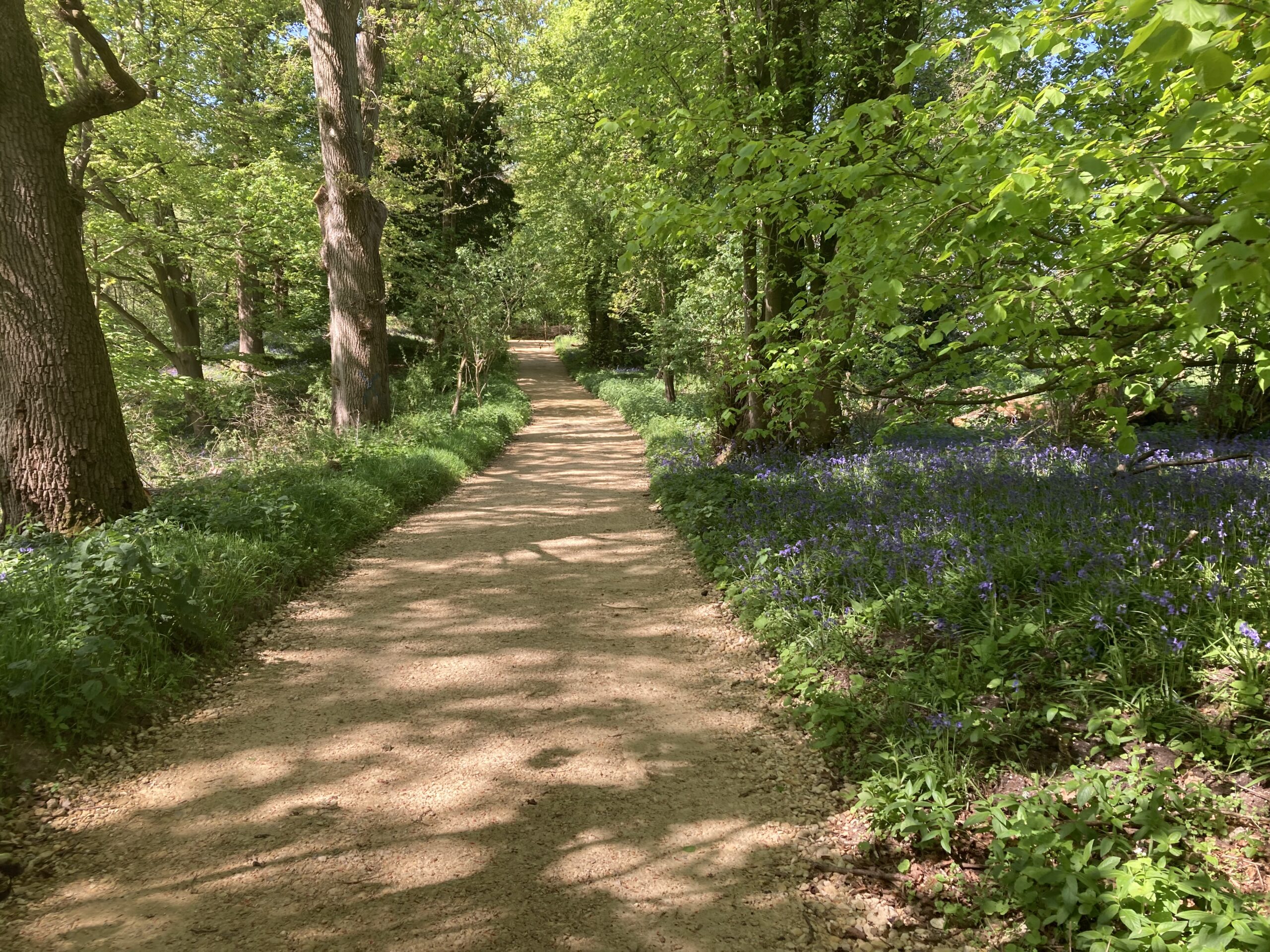 Pierrepont easier access