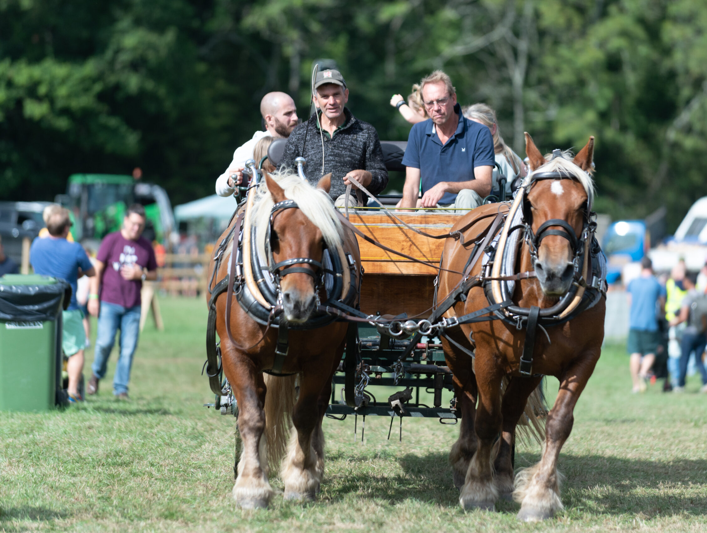 Horse and wagon ride at a Surrey Hills event