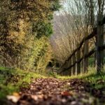 8 Mile Friday Hike -The Fox Way to Godalming Titanic Memorial Circular