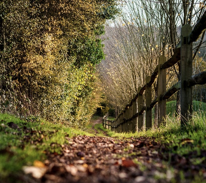 8 Mile Friday Hike -The Fox Way to Godalming Titanic Memorial Circular