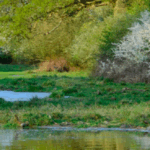 Guided Walk – 10km Knepp Estate Rewilding Project