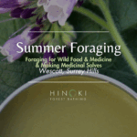Summer Foraging Walk