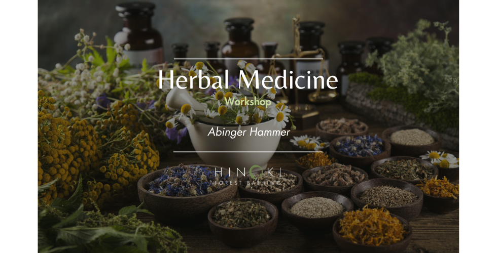 Herbal Medicine Workshop