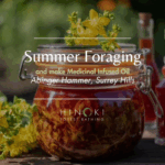 Summer Foraging Walk & Herbal Apothecary