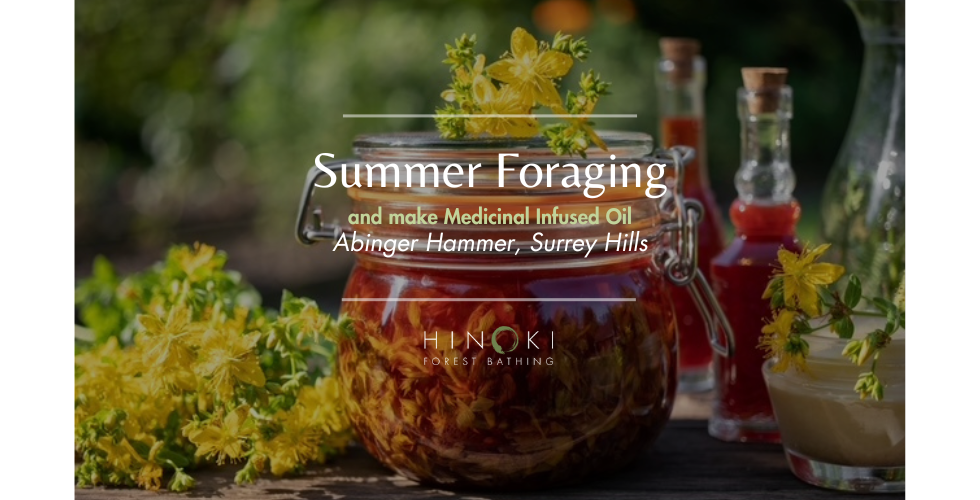 Summer Foraging Walk & Herbal Apothecary