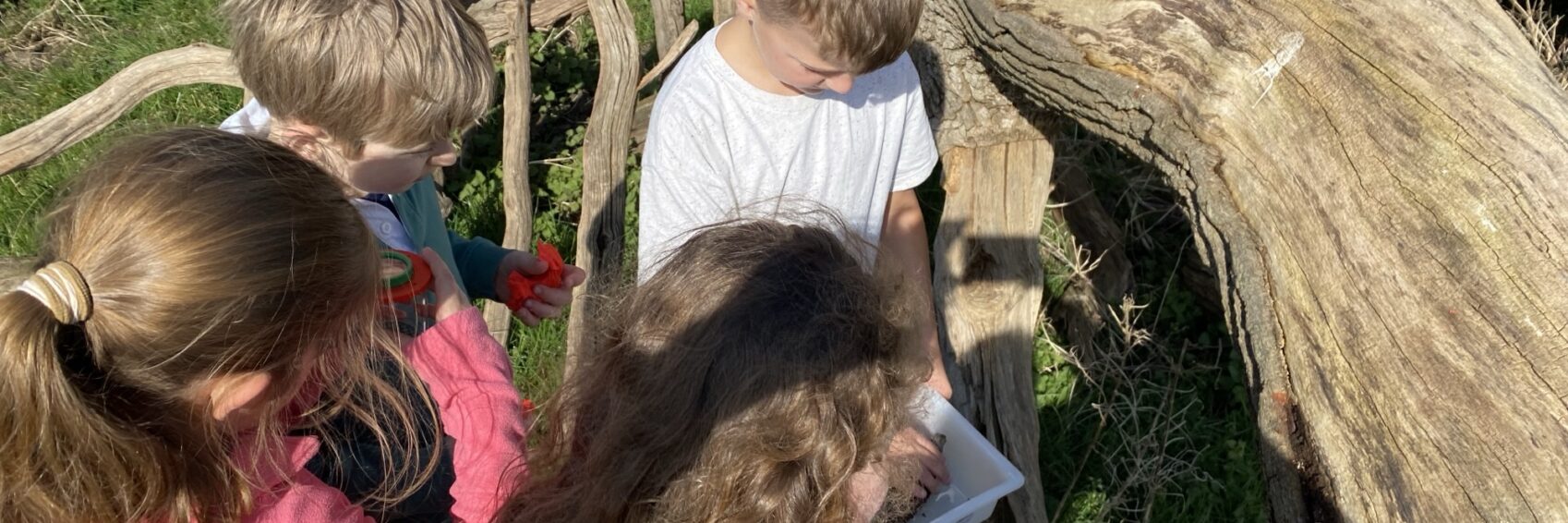 roberts fipl educations visits