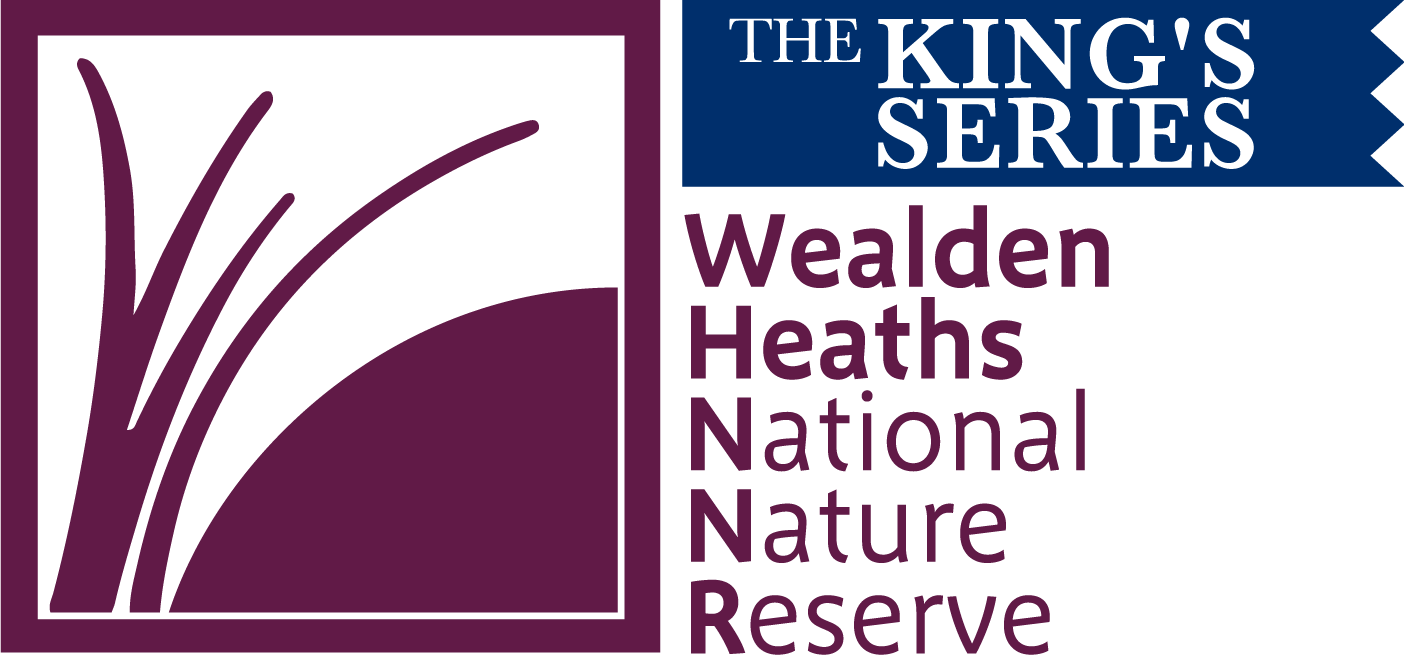 Wealden Heaths NNR
