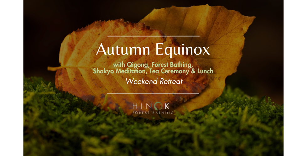 Autumn Equinox Retreat: Forest Bathing, Qigong, Shakyo Meditation
